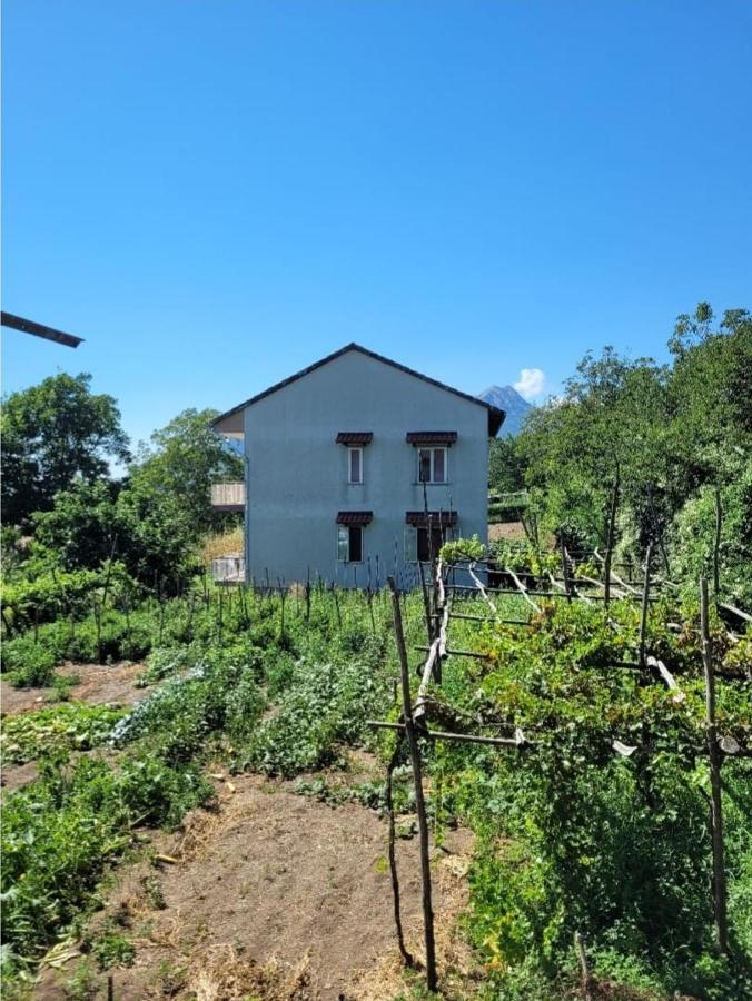 Luna D'agerola Séjour à la ferme *