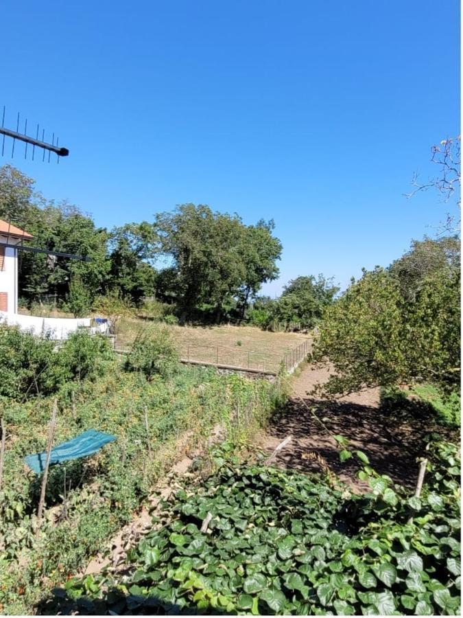 Luna D'agerola Séjour à la ferme Agerola